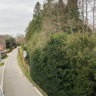 Uitzicht voorkant living