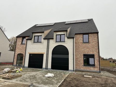 Foto Febr 26 Lot 6 4