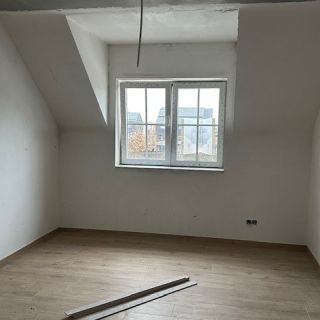 Foto Febr 26 Lot 8 6