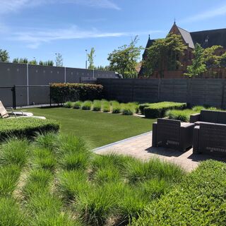 Tuin